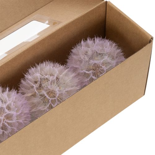Artikel Riesen Pusteblumen Deko Trockenblumen für moderne Inneneinrichtung 12cm 4St