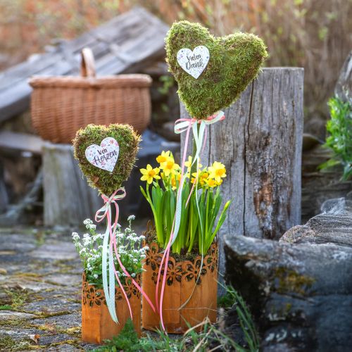 Metall Deko Rost Windlicht Übertopf Metall Ø12cm H17cm