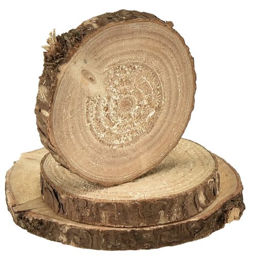 Artikel Mini Holzscheiben Deko Baumscheiben Natur Ø3-6cm 600g