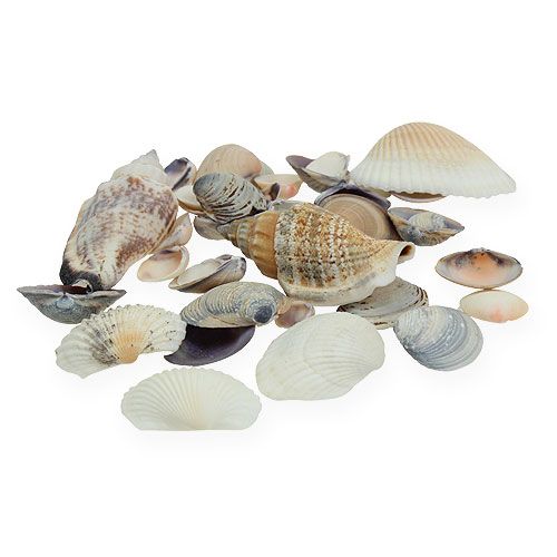 Muschelmix Natur 400g
