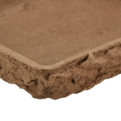 Artikel Oasis Biolit Unterlage ½ Steckschaum Ziegel 13×13×2cm 12 St