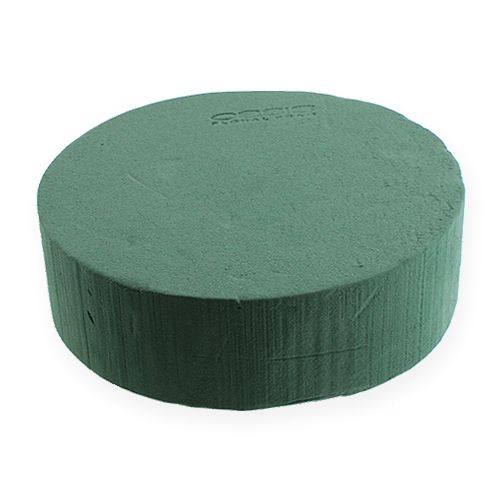 Floristik24 OASIS® Ideal Zylinder groß 22cm 2 St