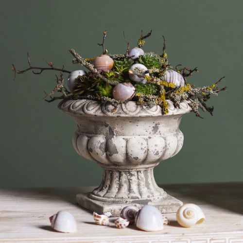Artikel Pflanzschale klein Pflanzkübel Pokal Antik Beton Ø15cm H13cm