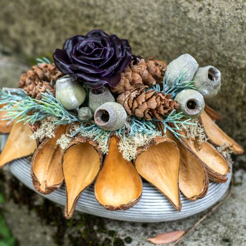 Artikel Frucht- und Samenkapsel Schoten Pradeep Pods 9-12 cm natur 50 St