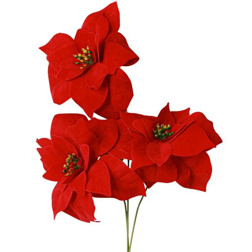 Prächtiger Weihnachtsstern - Poinsettia in Rot – 46 cm 6St 2 Bund