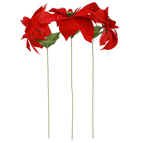 Artikel Prächtiger Weihnachtsstern - Poinsettia in Rot – 46 cm 6St 2 Bund