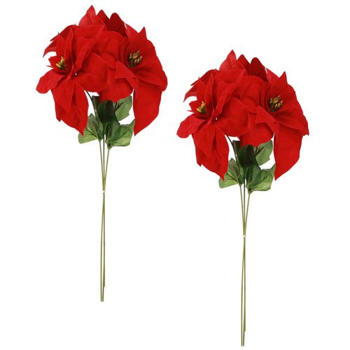 Artikel Prächtiger Weihnachtsstern - Poinsettia in Rot – 46 cm 6St 2 Bund