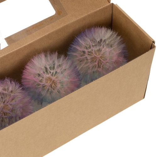 Artikel Pusteblume Deko Trockenblume stabilisiert und gefärbt Filigran langlebig 12cm 4St