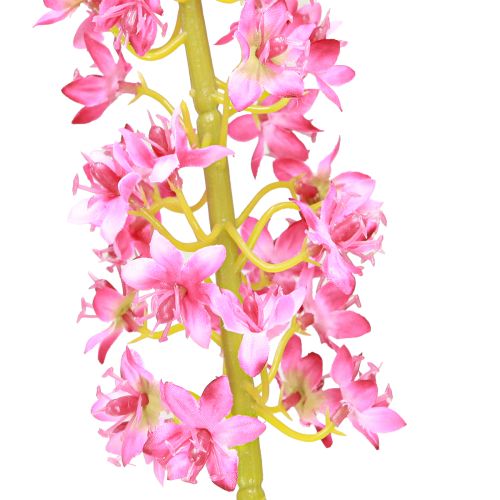 Artikel Steppenkerze Wüstenschweif Pink 106cm