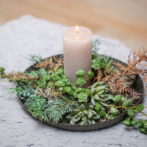 Artikel Sukkulente Echeveria Ø6,5cm L11cm 6 St