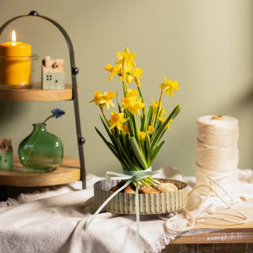 Artikel Tablett zum Dekorieren, Kerzentablett oval, Metalldeko Silbern, Grün Shabby Chic L25/22/18cm H6cm 3er-Set