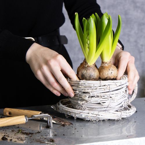 Artikel Teetasse Naturmaterial mit rustikalem Charme für exklusive Indoor Dekoration 13cm