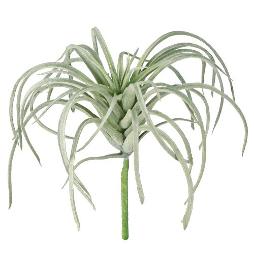 Artikel Tillandsia Sukkulente künstliche Grünpflanzen 13cm