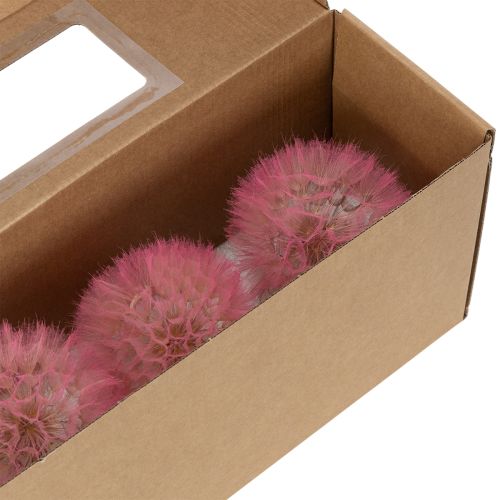 Artikel Trockenblumen Riesen Pusteblume Deko Edles Wohnaccessoire 12cm 4St