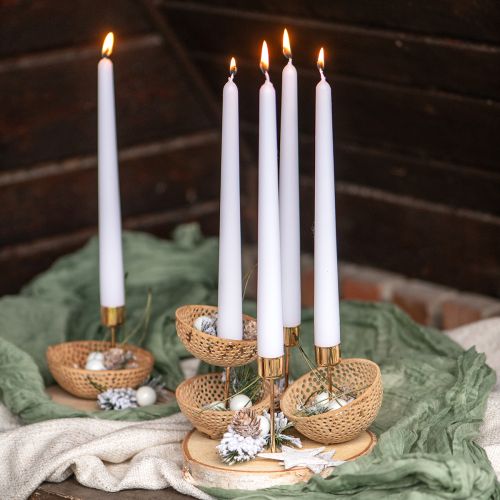 Floristik24 Trockenfrüchte Bell Cup Natur Trauerdeko 8,5-11cm 10 St