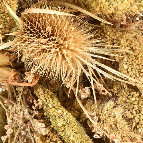 Artikel Trockenkranz Kardendisteln Hirse Gelb Olivgrün Ø28cm
