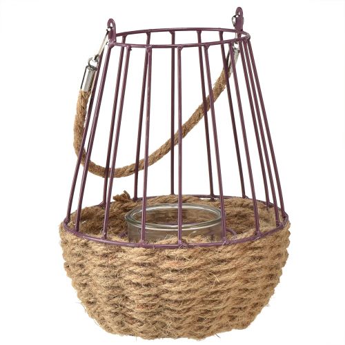 Floristik24 Windlicht mit Henkel und Glas Lila Natur Ø18cm H22cm