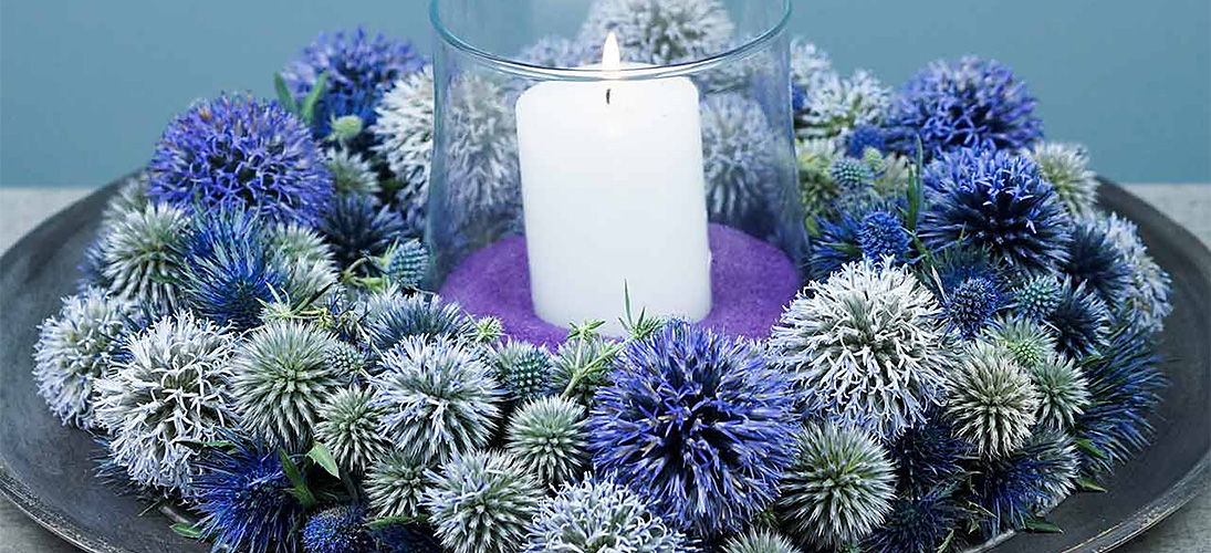 Steckschaum Ring & Kranz